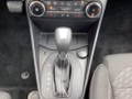 Daumennagel 11 - Ford Fiesta 1.0 EcoBoost Aut. TITANIUM X LED Winter