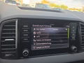 Daumennagel 41 - Skoda Karoq Sportline 1,5TSI DSG 4*J.Gar/Pano/aAHK/Matrix/Navi    **