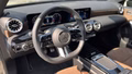 Daumennagel 14 - Mercedes-Benz A 200 d AMG Advance Plus, Night Paket, AHK