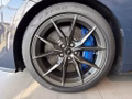 Daumennagel 5 - Ford Mustang Fastback 5.0 Ti-VCT V8 Aut. Dark Horse