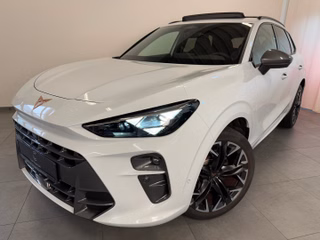CUPRA Terramar Gebrauchtwagen Kaufen