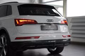 Daumennagel 14 - Audi Q5 40 TDI quattro S-Line STHZ NAV AHK HEAD-UP 360°