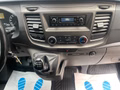 Daumennagel 17 - Ford Transit Custom Kasten 300 L2H1 Trend