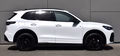 Daumennagel 6 - Volkswagen Tiguan R-LINE /STHZ HUD/PANO/20 ZOLL/H&K/BLACK/IQ