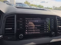 Daumennagel 47 - Skoda Karoq 1,5TSI DSG aAHK/ACC/Kamera/Winterp.