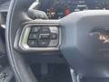 Daumennagel 25 - Ford Mustang GT 5.0 V8 Aut. Nuding Performance Umbau