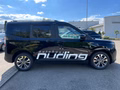 Daumennagel 5 - Ford Tourneo Courier 1.0 EcoBoost Aut. Titanium