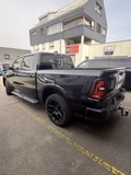Daumennagel 9 - Dodge RAM 1500 Crew Night 12 Zoll BLIS 3,0ltr Hurric
