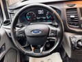 Daumennagel 17 - Ford Transit Custom Kasten 320 L2H1 Trend