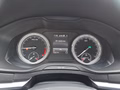 Daumennagel 21 - Skoda Karoq 1,6TDI DSG aAHK/Voll-LED/Navi/ACC/Kamera