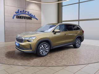 Skoda Kodiaq age.one-day registration Kaufen