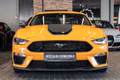 Daumennagel 5 - Ford Mustang Mach 1 5.0 V8|LEDER|B&O|19-ZOLL|NAVI