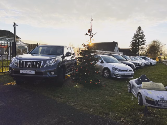 Hayek Automobile | Fahrzeuge kaufen Schlitz - Hessen