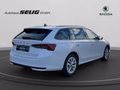 Daumennagel 6 - Skoda Octavia Combi 2.0 TDI DSG Selection, LED, PDC, ACC, Navi, AHK, ...