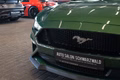 Daumennagel 11 - Ford Mustang GT 5.0 V8 Coupe|KLAPPEN-AGA|B&O|SPOILER