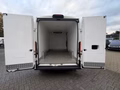 Daumennagel 12 - Citroën Jumper Kasten Kühler 35 L3H2/Thermo-King/