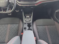 Daumennagel 12 - Skoda Octavia 2.0TSI RS 19*Alu/Pano/AHK/Navi/Matrix/ACC/el.Klappe