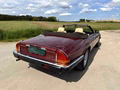 Daumennagel 6 - 1989 Jaguar XJS V12 Automatik Convertible