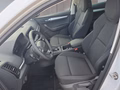 Daumennagel 10 - Skoda Karoq 1,5TSI DSG 18*Alu/aAHK/ACC/Kamera/Winterp.       **