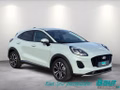 Daumennagel 2 - Ford Puma 1.0 EcoBoost Hybrid Aut. TITANIUM Matrix