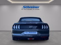 Daumennagel 4 - Ford Mustang GT Convertible
