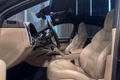 Daumennagel 15 - Porsche Cayenne Coupe E-Hybrid Platinum Edition