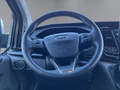 Daumennagel 14 - Ford Transit Custom Kombi 340 L2 Trail