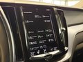 Daumennagel 25 - Volvo XC60 B4 Momentum Pro AWD XENIUM Mild-Hybrid