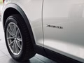 Daumennagel 9 - BMW X3 xDrive 20 i XENON|SHZ|LED|1.HAND|