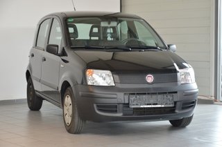 Fiat Panda Gebrauchtwagen Kaufen