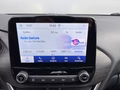 Daumennagel 13 - Ford Puma Titanium X