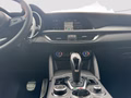 Daumennagel 15 - Alfa Romeo Stelvio 2.2 Diesel Intensa Q4 Leder, Navi,AHK