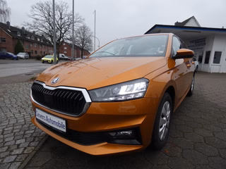 Skoda Fabia Gebrauchtwagen Kaufen