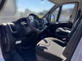Daumennagel 34 - Carado pro CV 600 SUPER SALE/NAVI RFK/Aufstelldach