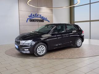 Skoda Fabia age.one-day registration Kaufen