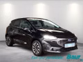 Daumennagel 2 - Ford Fiesta 1.0 EcoBoost S&S TITANIUM Winter-Paket