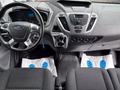 Daumennagel 15 - Ford Transit Custom Kasten 270 L1 Trend