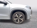 Daumennagel 7 - Volkswagen Tayron 1.5 eTSI 110 kW Life KAM,WR,AHK,4 J.Gar.