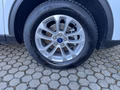 Daumennagel 19 - Ford Kuga Plug-In Hybrid Titanium
