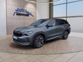 Daumennagel 1 - Skoda Kodiaq Sportline 1,5TSI aAHK/7-Sitzer/Pano/Matrix/Navi **