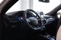 Daumennagel 17 - Ford Kuga Plug-In Hybrid ST-Line X  AUT NAV PANO LED