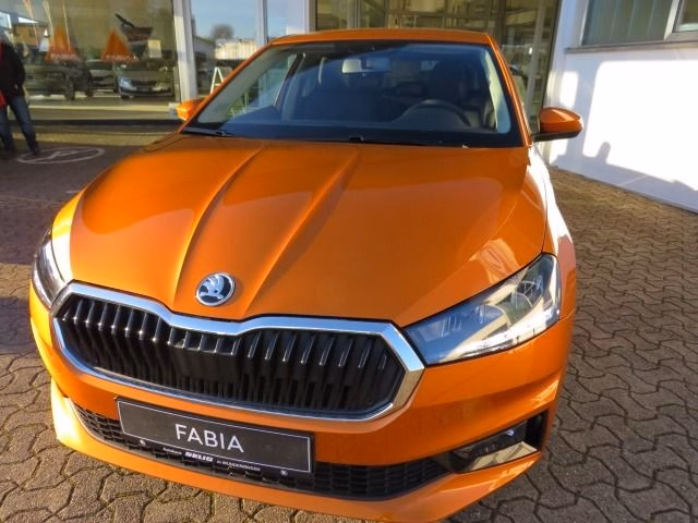 Skoda Fabia Der Neue Fabia Active 1.0 TSI 95 PS, Winterpaket, Kommunikation Paket, PDC