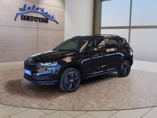 Skoda Karoq age.one-day registration Kaufen