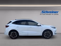 Daumennagel 6 - Ford Kuga Plug-In Hybrid ST-Line X