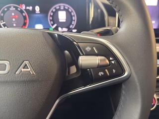 Skoda Kodiaq Autom., LED Navi Pano Kamera AHK 7-Sitzer - foto 10