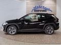 Daumennagel 2 - Hyundai TUCSON 1.6 T-GDI HEV 239PS Navi/LED/Kamera/Keyless   **