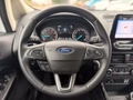 Daumennagel 15 - Ford EcoSport 1.0 EcoBoost Titanium RFK/BLIS/LED/DAB