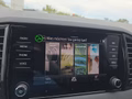 Daumennagel 31 - Skoda Karoq Sportline 1,5TSI DSG aAHK/Matrix/Kessy/Winterp.  **