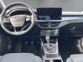 Daumennagel 12 - Ford Focus Active