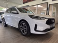 Daumennagel 4 - Ford Kuga FHEV Hybrid ST-Line